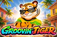 Groovin Tiger